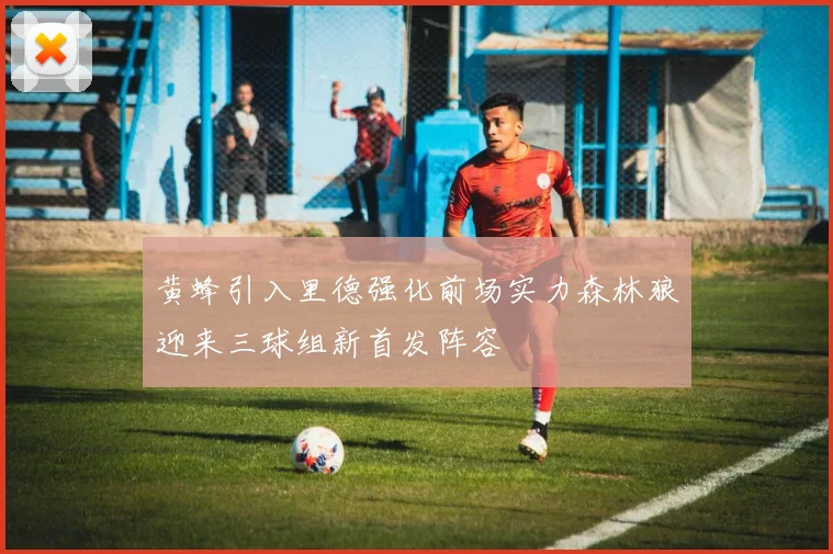 黄蜂引入里德强化前场实力森林狼迎来三球组新首发阵容