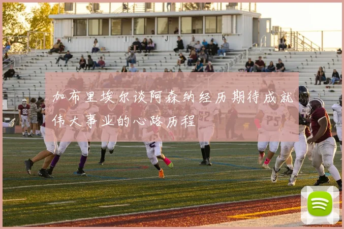 加布里埃尔谈阿森纳经历期待成就伟大事业的心路历程